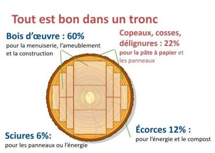 Edito : Le bois est l’avenir de la construction, le papier est celui de l’attention